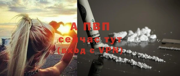 таблы Белокуриха