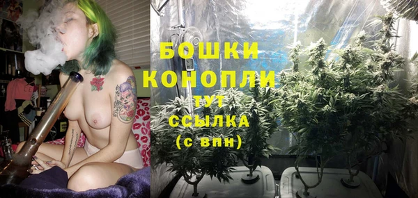 кокаин Богданович
