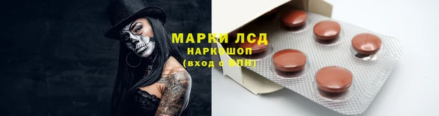 кокс Богородицк