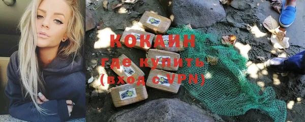 кокс Богородицк