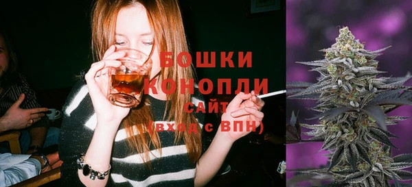 кокс Богородицк