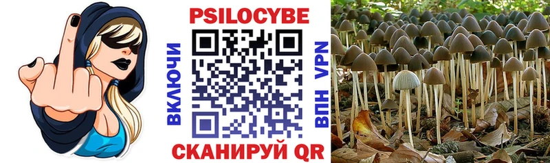 Галлюциногенные грибы ЛСД  Дно 